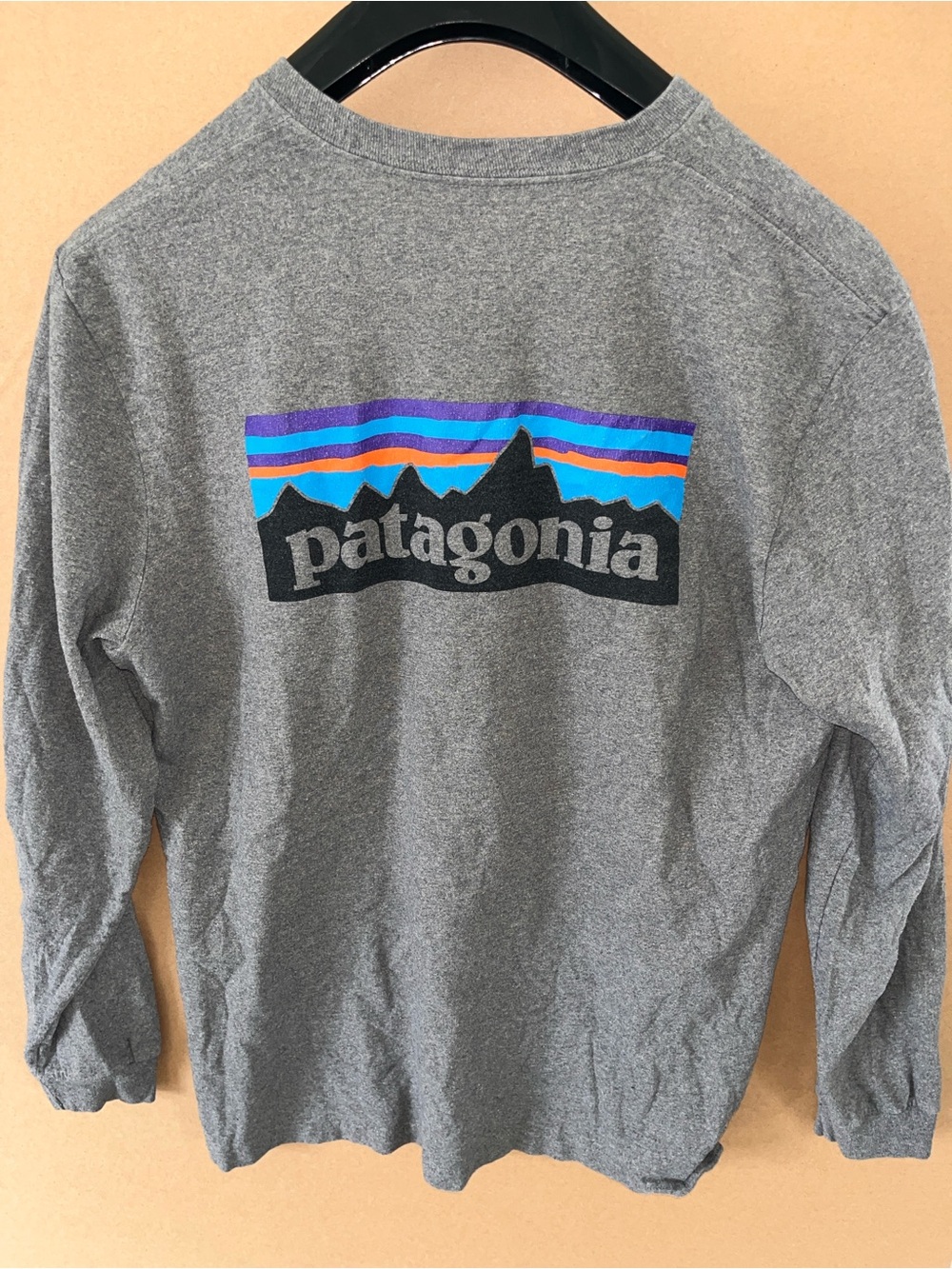 Mens Patagonia Graphic T-Shirt Sz Large L/S Gray Great
